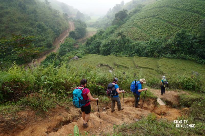 Photo of people trekking through greenery 