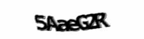 Security check image, please type the characters shown