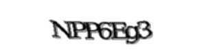 Security check image, please type the characters shown