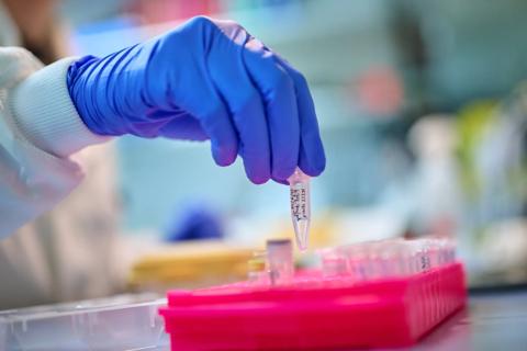 Researcher placing a tube in a silicone tube rack