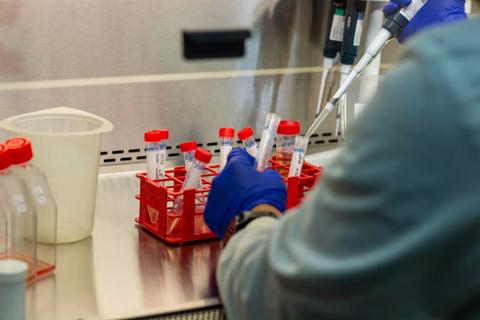 Anthony Nolan Research labs