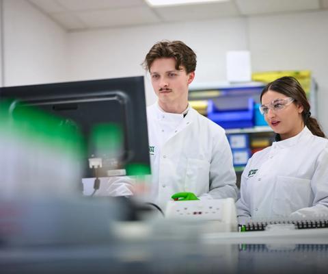 Researchers using a lab computer
