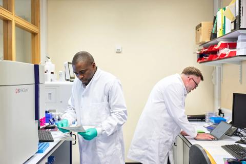 Two scientists work at laboratory countertops on computers.