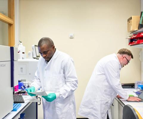 Two scientists work at laboratory countertops on computers.