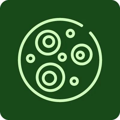 AN Icon, Invigorating Green on  Resilient Green