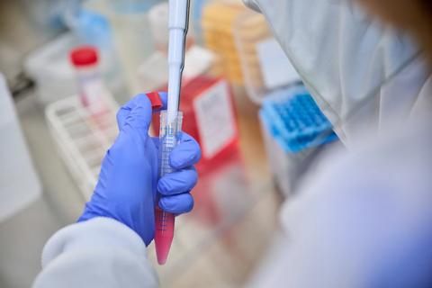 Researcher using a pipette in a tube under a flowhood