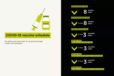 COVID-19 vaccine graphic