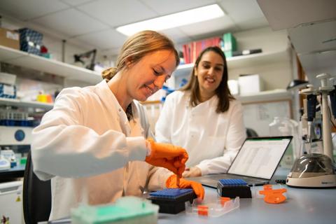 Matilda Tierney Research Assistant in the Immunogenetics Research team working with Dr Neema Mayor in the ANRI laboratory 