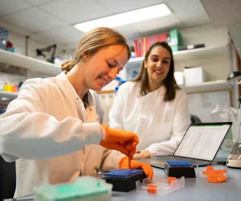 Matilda Tierney Research Assistant in the Immunogenetics Research team working with Dr Neema Mayor in the ANRI laboratory 