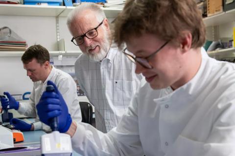 Members of the Immunogenetics Research team working in the ANRI laboratory 