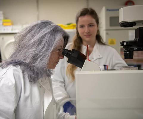 Dr Diana Hernandez​ Head of Translational Immunotherapy working with Kathryn Strange PhD Research Student in the Anthony Nolan Research Institute labs