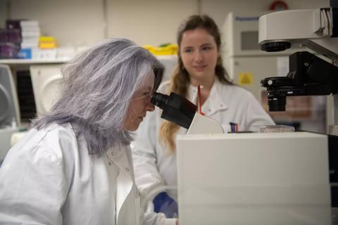 Dr Diana Hernandez​ Head of Translational Immunotherapy working with Kathryn Strange PhD Research Student in the Anthony Nolan Research Institute labs