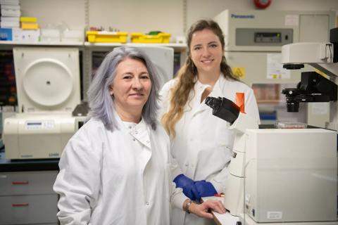 Dr Diana Hernandez​ Head of Translational Immunotherapy working with Kathryn Strange PhD Research Student in the Anthony Nolan Research Institute labs