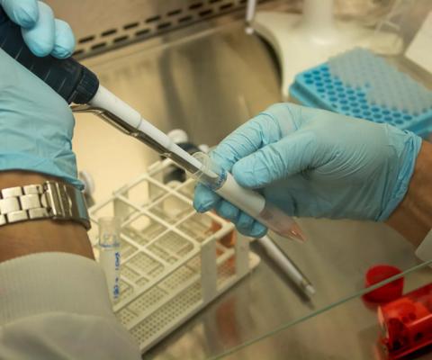 Anthony Nolan Research labs