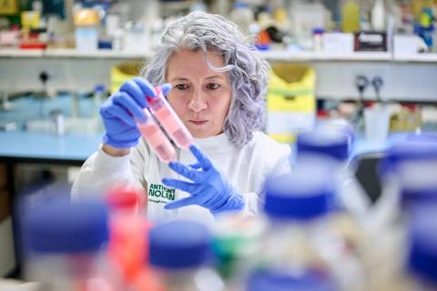 A researcher examining a stem cell sample in a lab setting