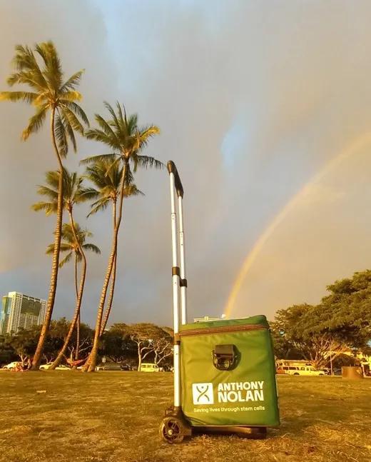 Credo box with palm trees and rainbow behind