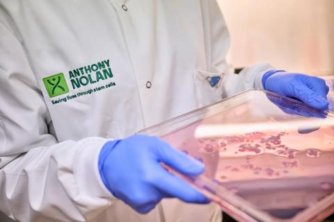 Researcher examining stem cell sample 