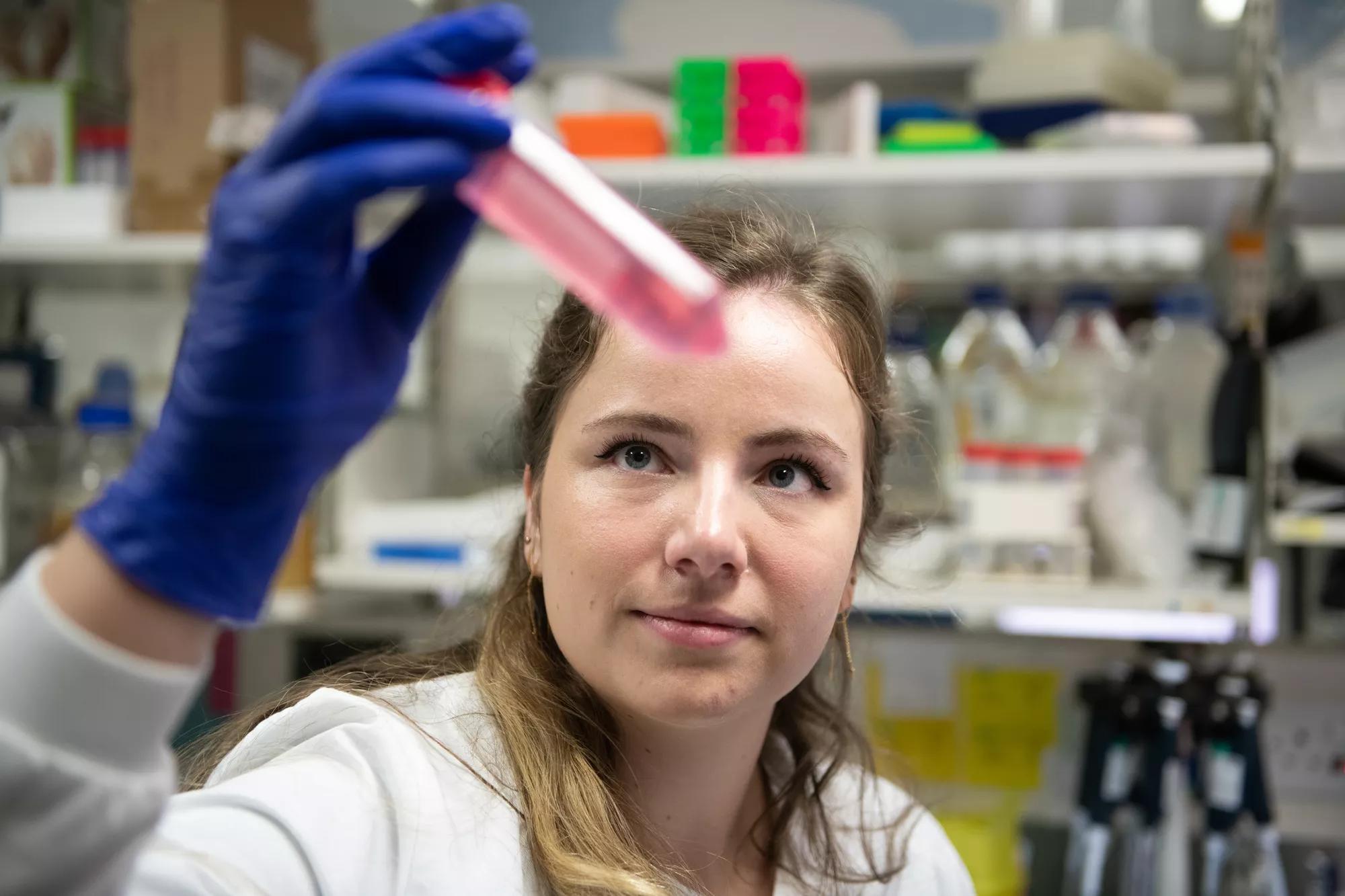 Kathryn Strange PhD Student in the Translational Immunotherapy Research team working in the ANRI laboratory 