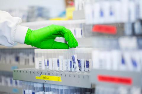 Lab scientist handling sample tubes