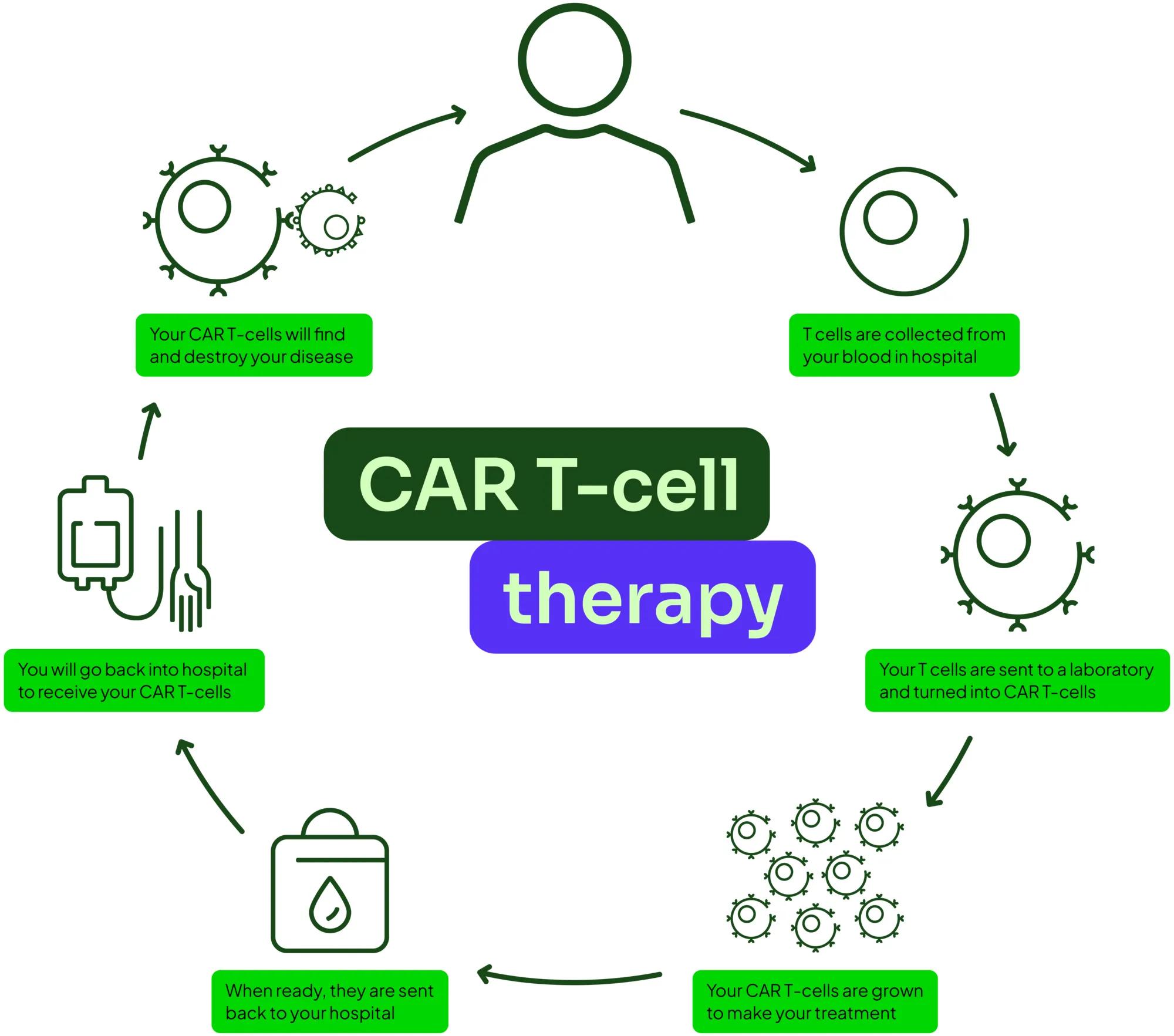 CAR T-cells diagram