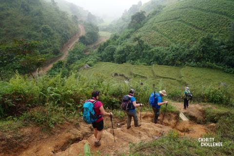 Photo of people trekking through greenery 