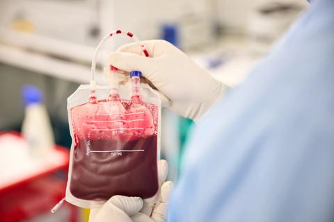 Blood sample bag held with gloved hands.