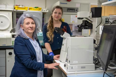 Dr Diana Hernandez​, Head of Translational Immunotherapy, working with Kathryn Strange PhD Research Student in the Anthony Nolan Research Institute labs