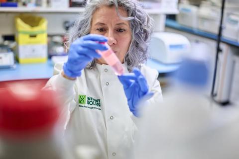 A researcher examining a stem cell sample in a lab setting