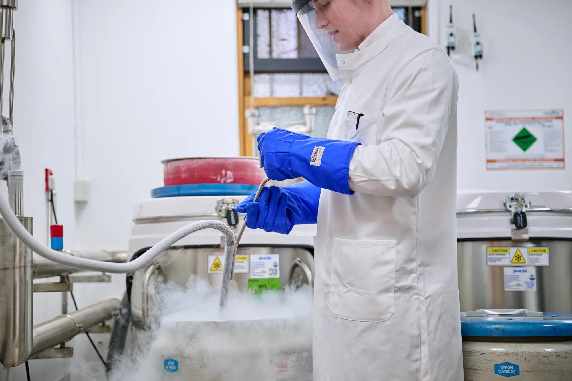 Researcher using Cryogenic equipment