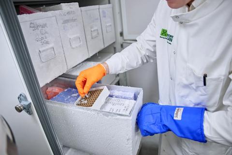 Researcher examining material within a clinical cryogenic refrigerator