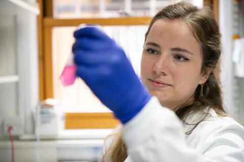 Kathryn Strange PhD Student in the Translational Immunotherapy Research team working in the ANRI laboratory 