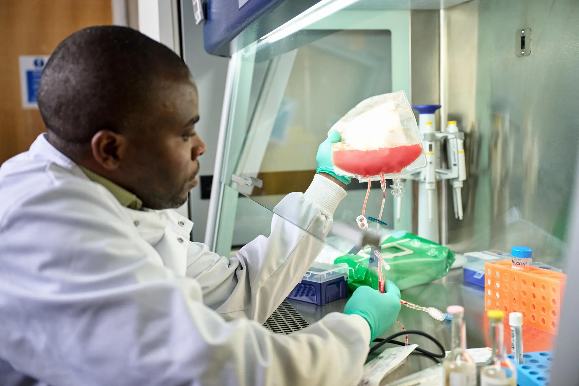 Scientist tests donated stem cells in fume hood.