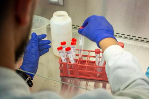 Anthony Nolan Research labs